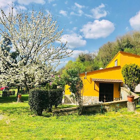 Agriturismo Pianezze Villa Grotte di Castro Kültér fotó