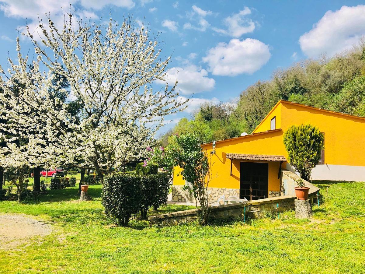 Agriturismo Pianezze Villa Grotte di Castro Kültér fotó